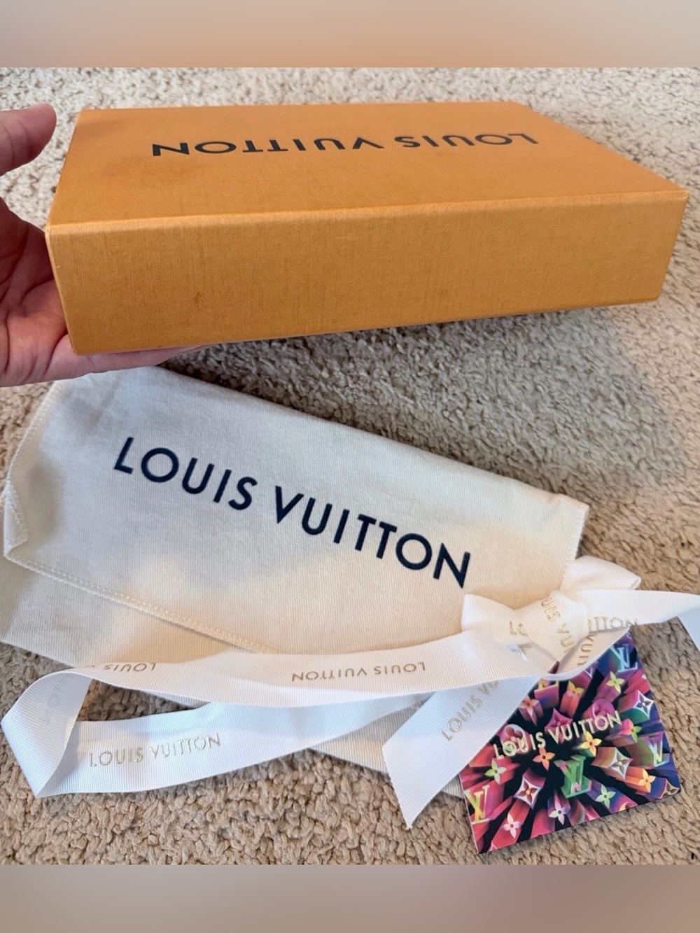 LOUIS VUITTON - Picture 5 of 12